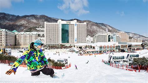 비발디 파크: 겨울 스포츠와 휴양의 조화를 찾아서