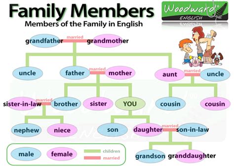  Family Lexicon: A Poignant Exploration of Language and Love Across Generations