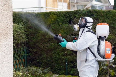 蚊取り線香 電気 そして未来の虫除け技術